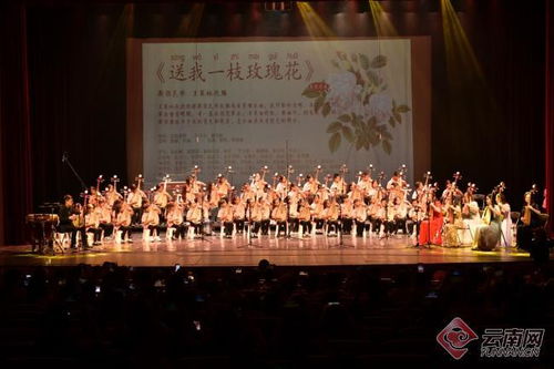 花韻琵琶傳雅韻，彩云之南奏華章——首屆彩云花韻琵琶文化藝術(shù)周系列活動圓滿落幕